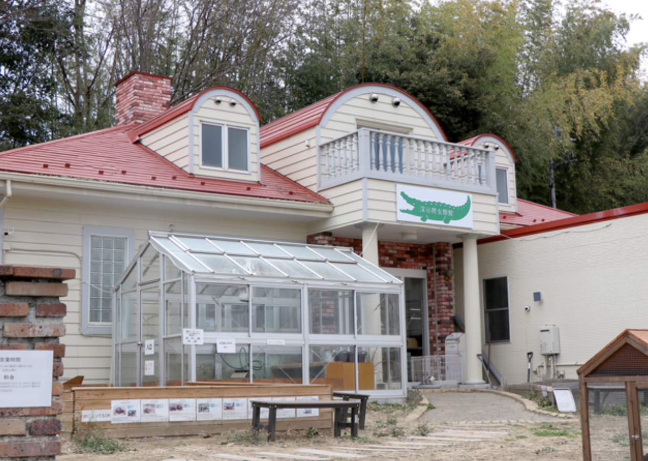 深谷爬虫類館(チャンネル鰐)外観 - 埼玉県深谷市の爬虫類専門施設