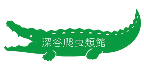深谷爬虫類館(チャンネル鰐)ロゴ